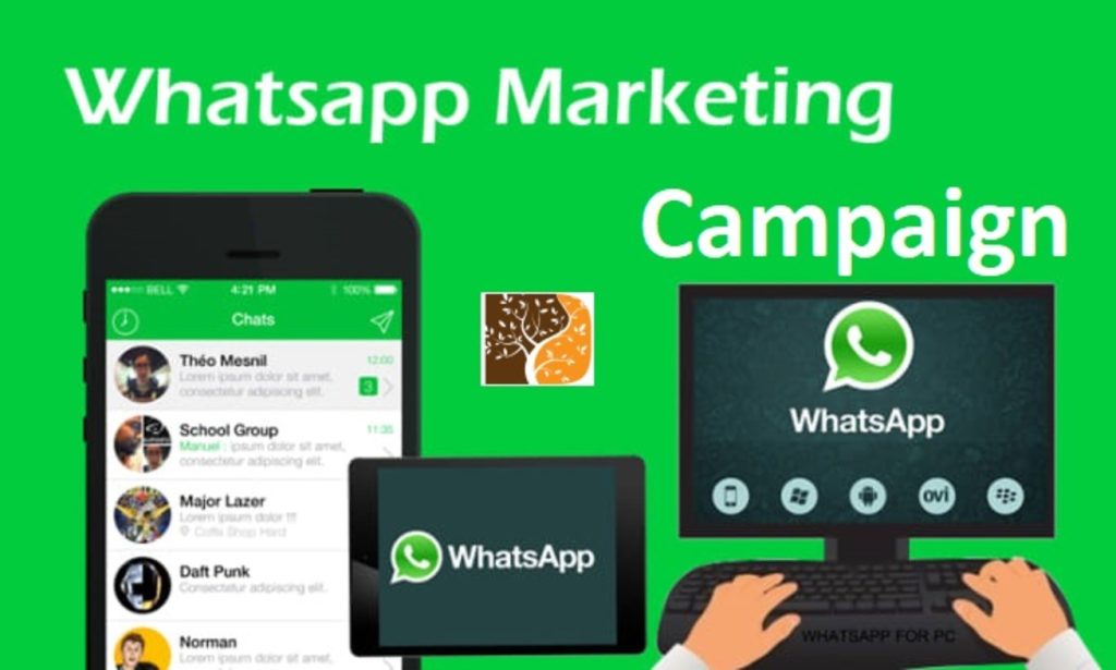 Best whatsapp marketing campaign